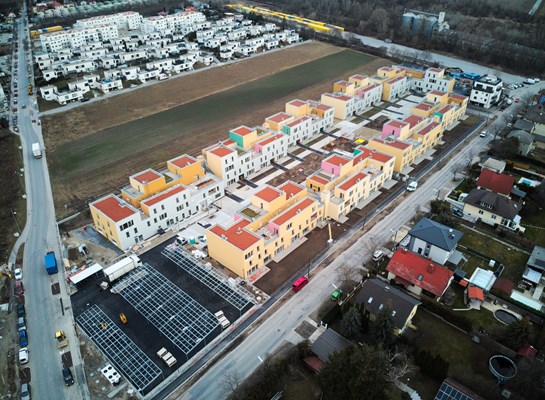 DJI_0491.jpg (1)
